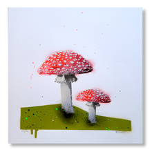 Load image into Gallery viewer, Super Limited Alice Mushrooms