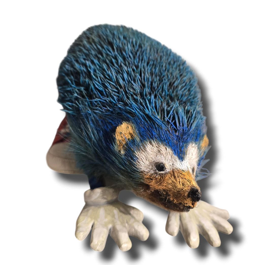 Real Sonic