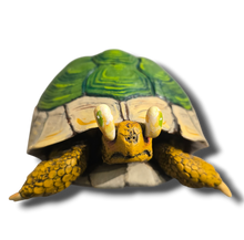 Load image into Gallery viewer, Real Koopa