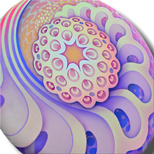 Load image into Gallery viewer, Petal Echo