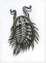 Load image into Gallery viewer, Flight of the Trilobite: Specimen No. 7