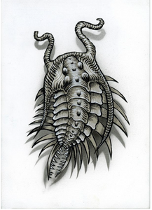 Flight of the Trilobite: Specimen No. 7