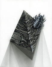 Load image into Gallery viewer, Flight of the Trilobite: Specimen No. 3