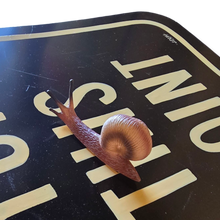 Load image into Gallery viewer, No Salt