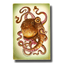 Load image into Gallery viewer, Octopod: Specimen A