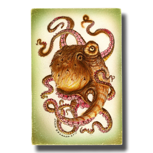 Octopod: Specimen A