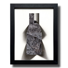 Load image into Gallery viewer, Unfolding the Trilobites&#39; Trail