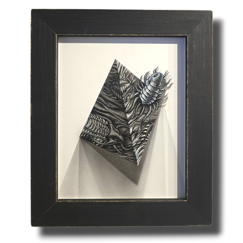 Flight of the Trilobite: Specimen No. 3