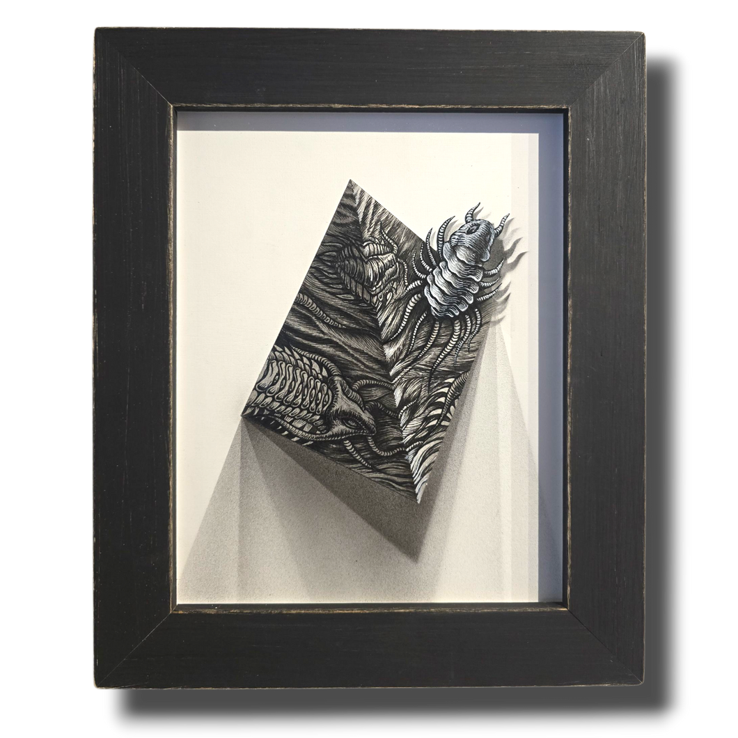 Flight of the Trilobite: Specimen No. 3