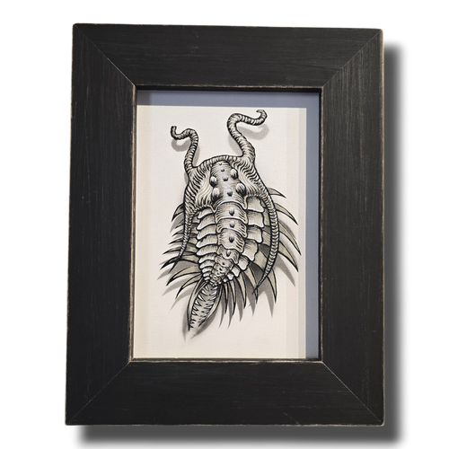 Flight of the Trilobite: Specimen No. 7