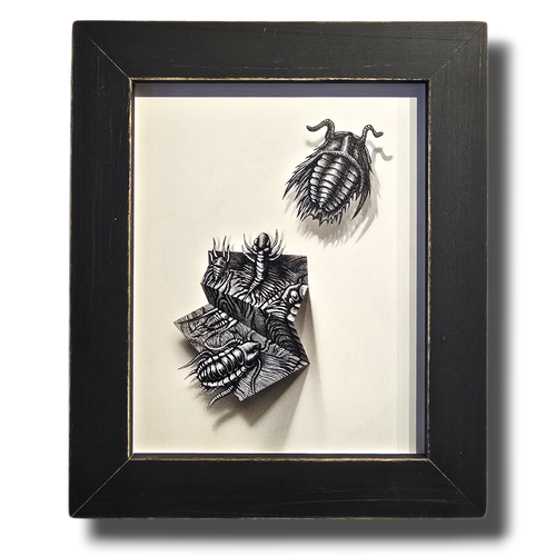 Flight of the Trilobite: Specimen No. 5