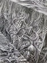 Load image into Gallery viewer, Unfolding the Trilobites&#39; Trail