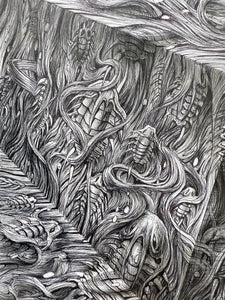 Unfolding the Trilobites' Trail
