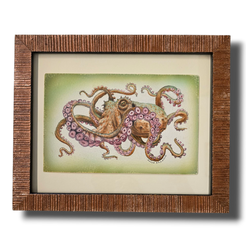 Octopod: Specimen F