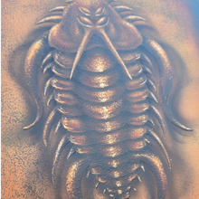 Load image into Gallery viewer, The Reign of the Trilobite (270 millions years)