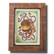 Load image into Gallery viewer, Octopod: Specimen A