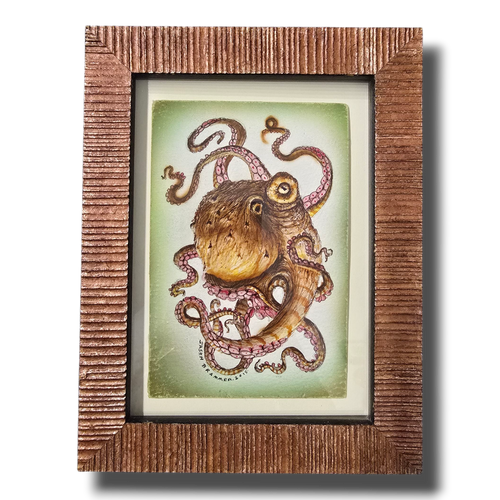 Octopod: Specimen A