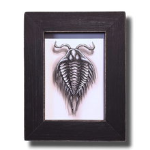 Load image into Gallery viewer, Flight of the Trilobite: Specimen No. 6