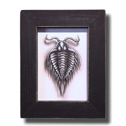 Flight of the Trilobite: Specimen No. 6
