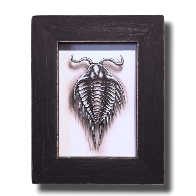 Flight of the Trilobite: Specimen No. 6