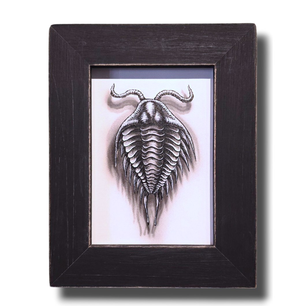 Flight of the Trilobite: Specimen No. 6