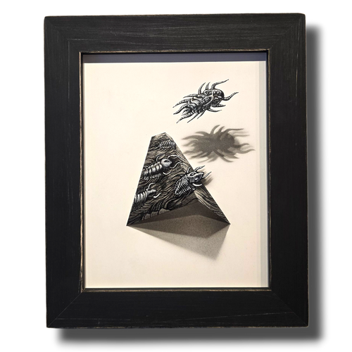 Flight of the Trilobite: Specimen No. 1