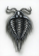 Load image into Gallery viewer, Flight of the Trilobite: Specimen No. 6