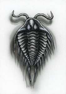 Flight of the Trilobite: Specimen No. 6