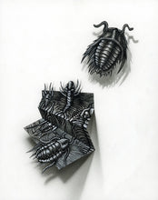 Load image into Gallery viewer, Flight of the Trilobite: Specimen No. 5