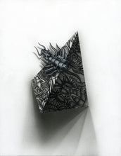 Load image into Gallery viewer, Flight of the Trilobite: Specimen No. 2