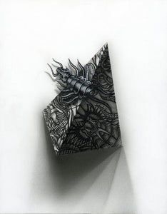 Flight of the Trilobite: Specimen No. 2
