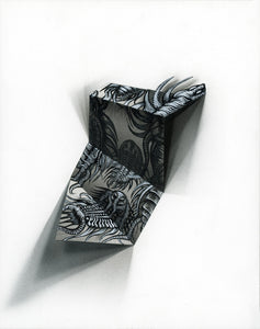 Flight of the Trilobite: Specimen No. 4