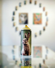 Load image into Gallery viewer, Hare