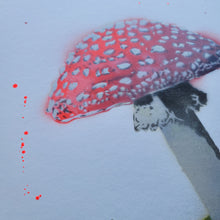 Load image into Gallery viewer, Super Limited Alice Mushrooms