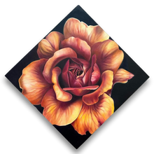 Load image into Gallery viewer, Rose Study